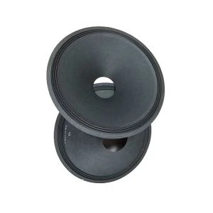Loa siêu trầm báo chí 18 inch