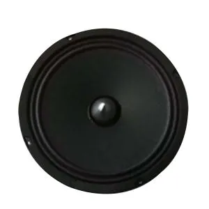 Loa ô tô tầm trung 6,5 inch